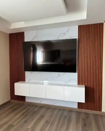 centro de entretenimiendo para tv en tijuana (2)